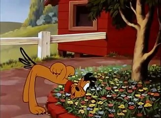 Donald Duck -  The Eyes Have It