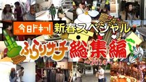 今日ドキッ!新春SP ぶらりサーチ総集編 2015/01/04