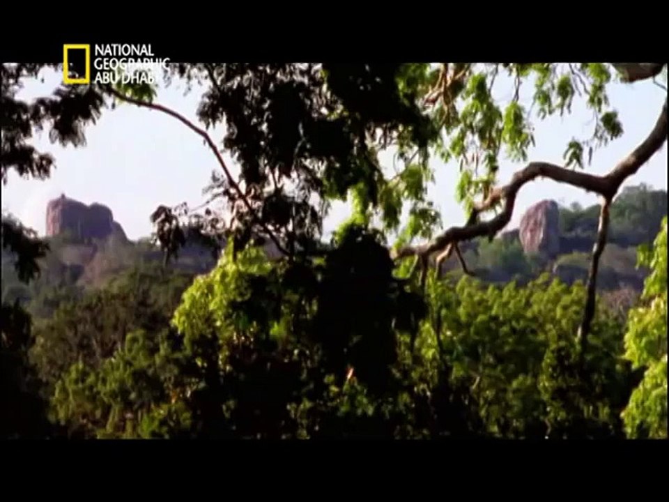 ‫وثائقي _ أفتك حيوانات العالم_ الهند HD‬‎