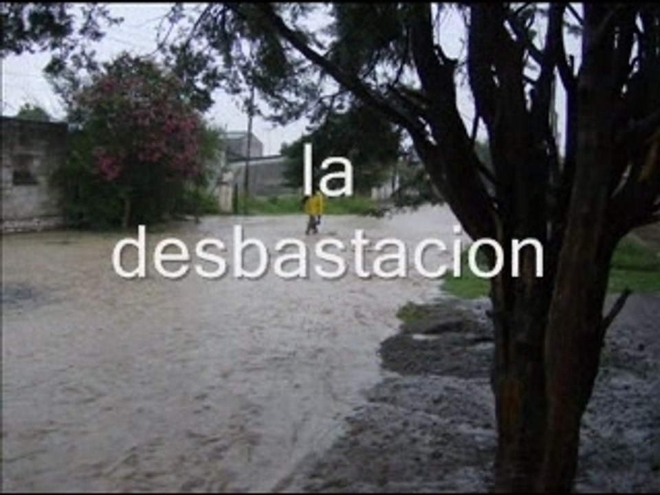 Cachi