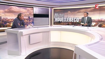 Pour Houellebecq, "Marine Le Pen n'a pas besoin" de son livre