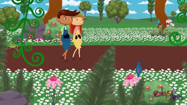 Haydi Ormana Gidelim - Eğitici Çocuk Şarkısı - Edis ile Feris Çizgi Film Çocuk Şarkıları Videoları