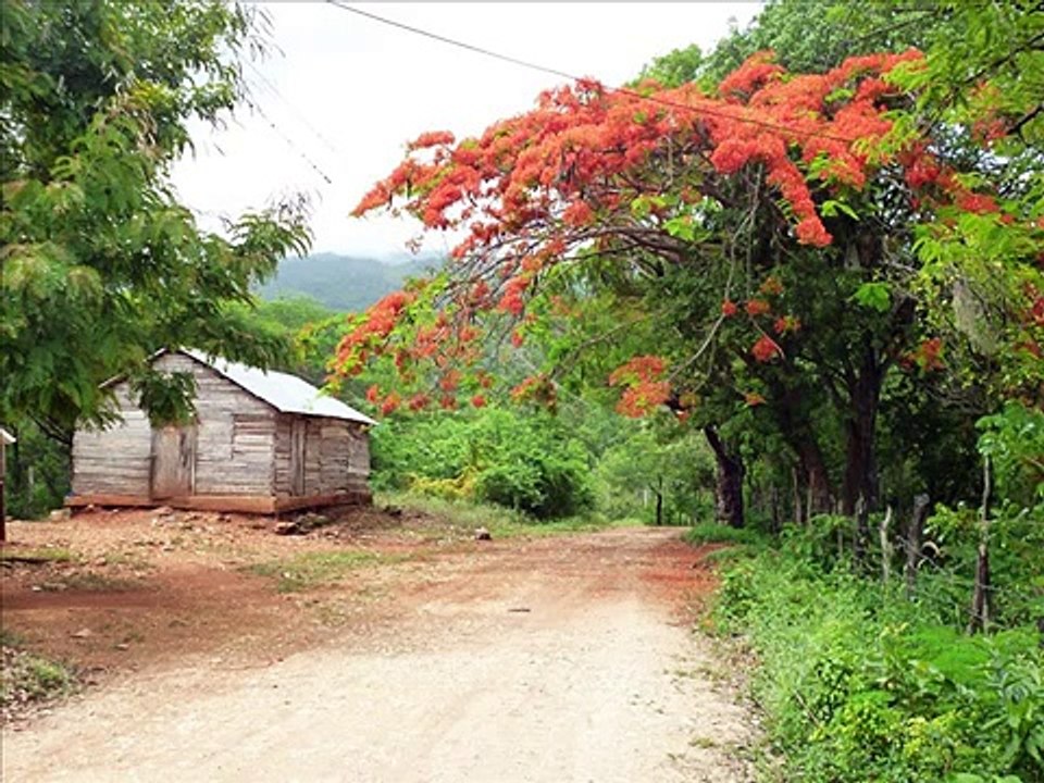 Instrumental piano - (Negrón) Relajante PIANO Instrumental Estudio de Musica Clasica para estudiar