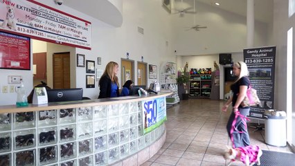 Welcome to Gandy Animal Hospital