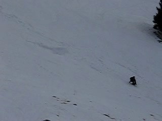 Annecy fév 2007 083