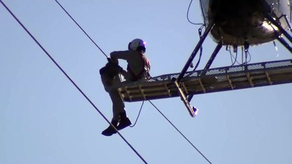 Campaign to Save the Birds!