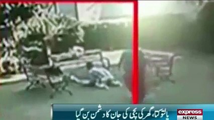 Dog attack on little girl in India