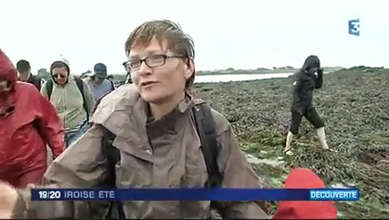 Phareland et les phares
