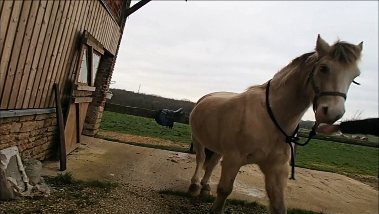 Clicker - révisions