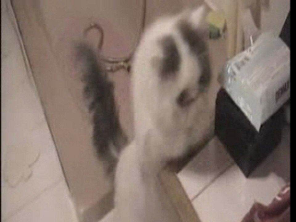 Doudou samba