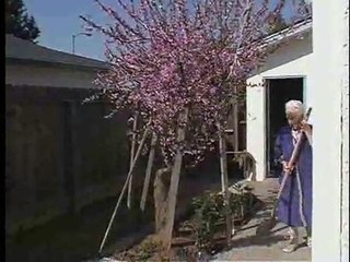 I Will Not Be Sad In This World (Trailer)