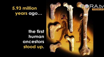 Jane McGonigal: Gamers Have Spent 5.93M Years Playing WoW