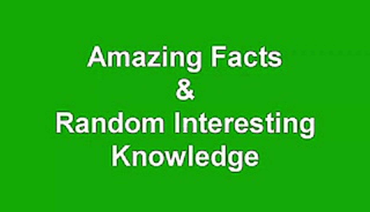 Amazing Facts -must watch- Video Dailymotion
