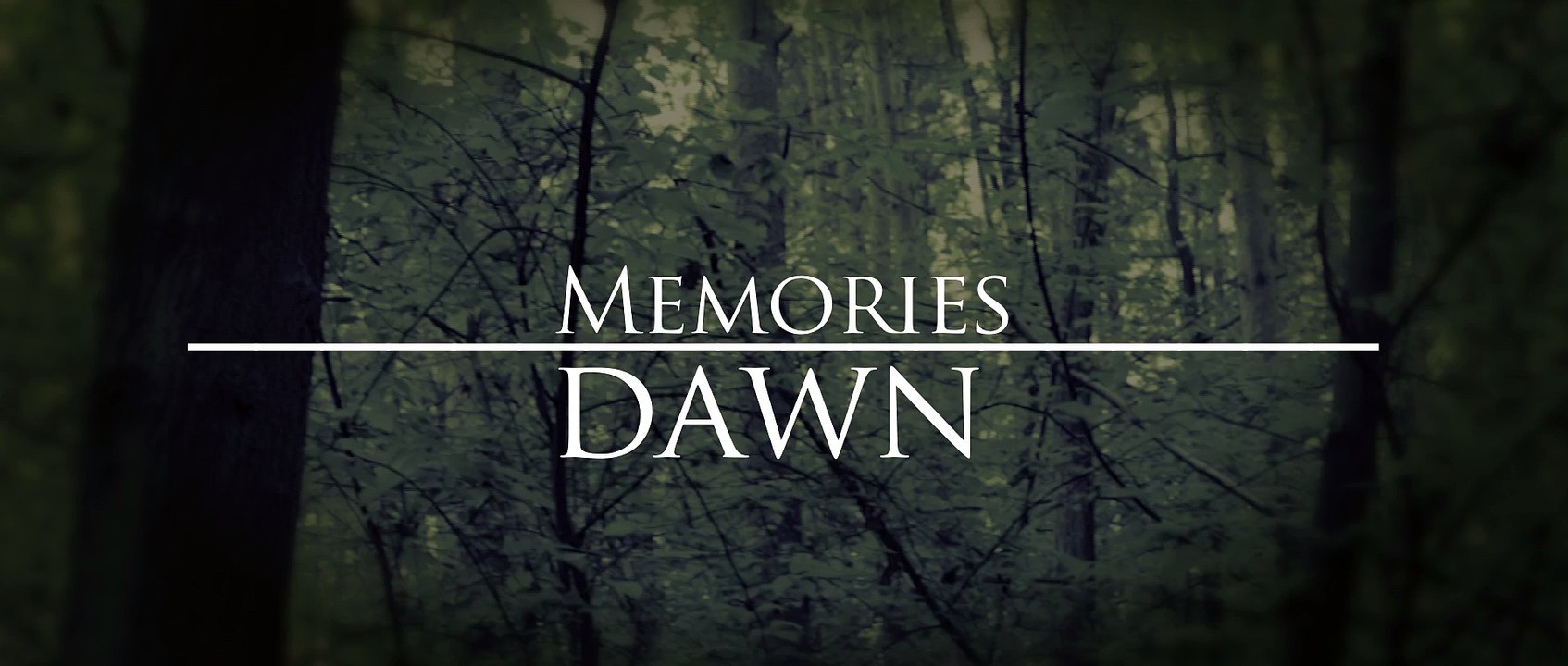 The_V´s_Memories