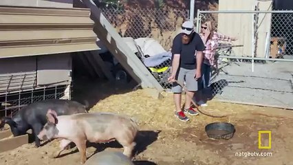 Burned Once, Never Again