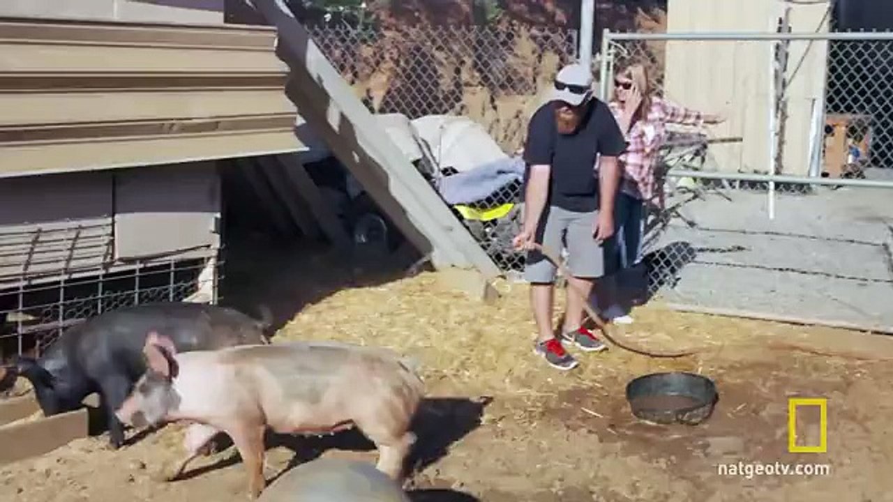 Burned Once, Never Again