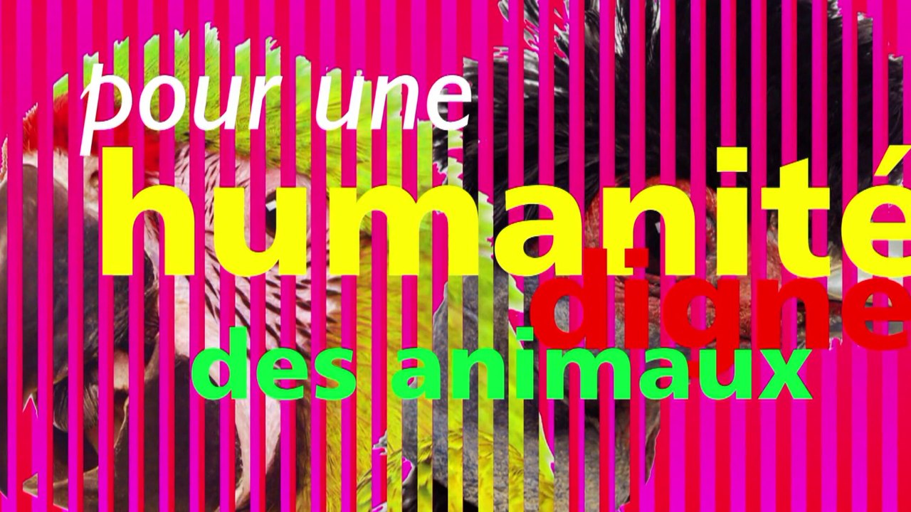 2015 - Pour une humanité digne des animaux