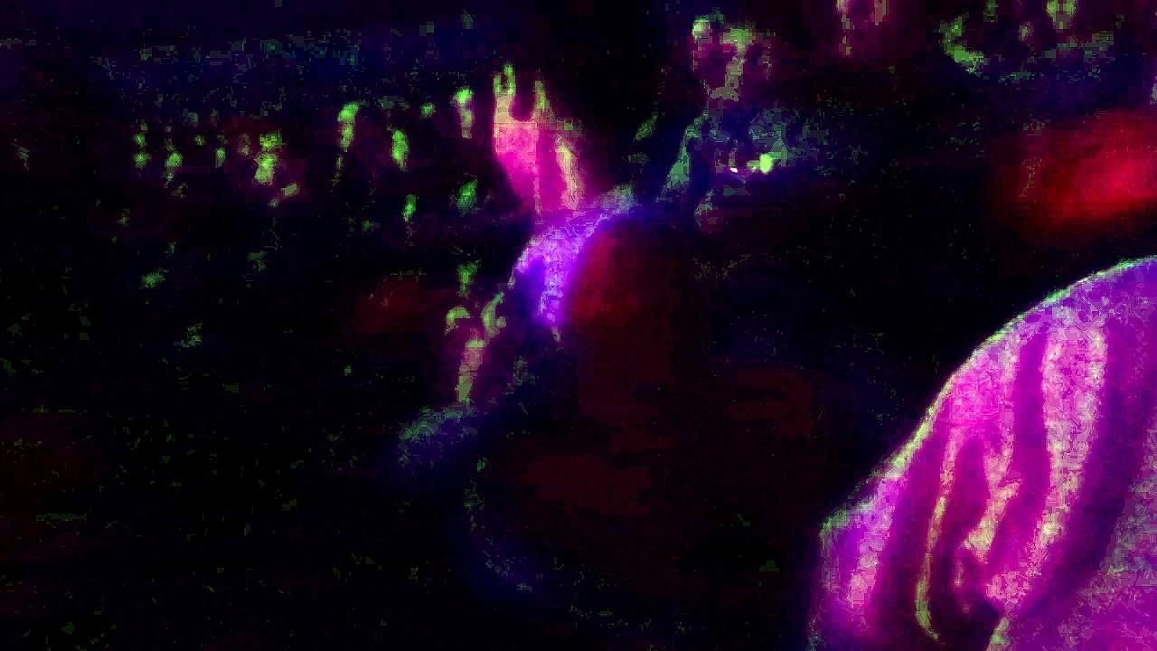 danse ethan cirque janvier 2015