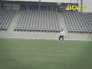 C.ronaldo vs zlatan