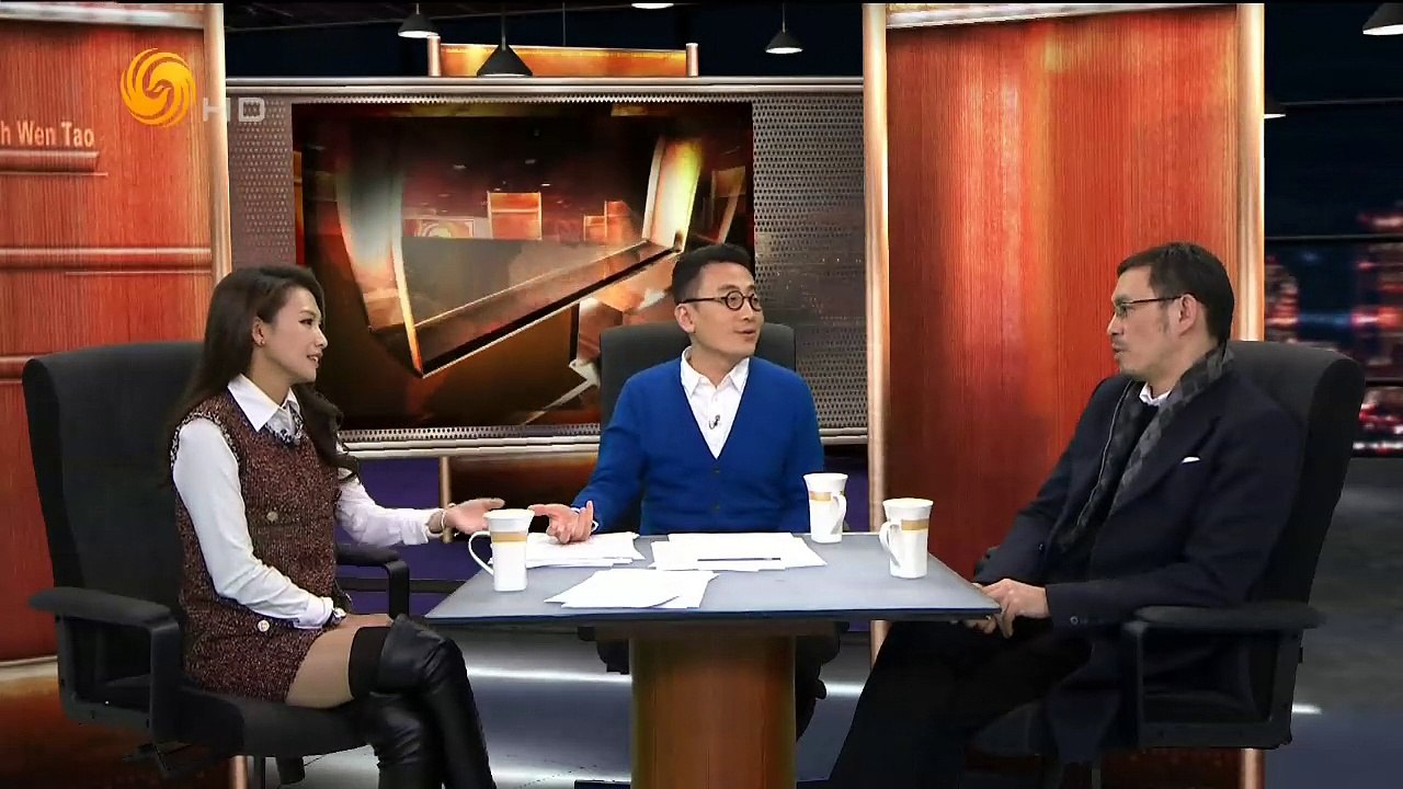 20150101 锵锵三人行 窦文涛：马年流年不利 “马走日”触霉头
