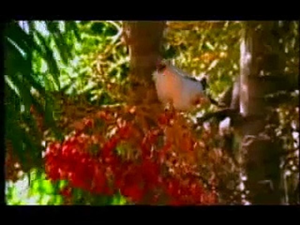 Beautiful Pakistan Television (PTV) Naat Sharif -- Balaghal Ula Be Kamalehi with subtitles