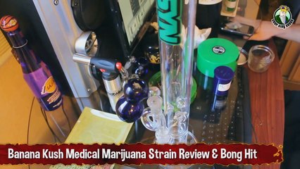 Banana Kush Medical Marijuana Strain Review And Bong Hit