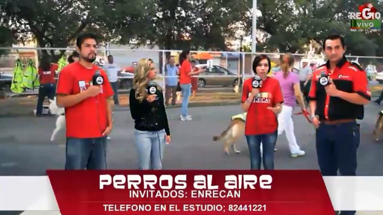 RECUERDOS DEL 2014