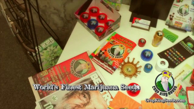 Crop King Seeds Office Operations - An Inside Look At The Company