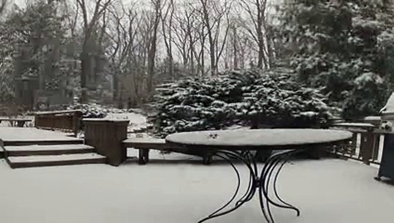 Blizzard Nemo Time-lapse Connecticut 2015