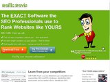 Traffic Travis 4 review keyword professional research software