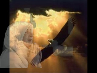 Zvuci podrinja - Poletio soko sa planine