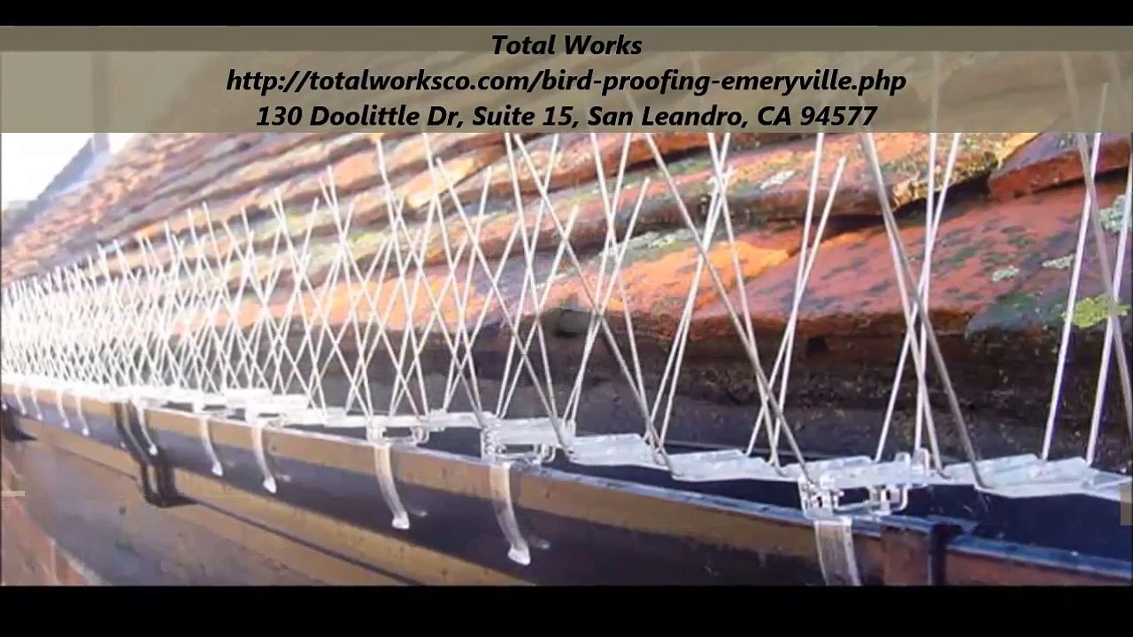 Total Works : Bird Proofing Emeryville
