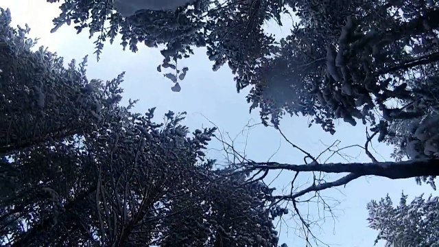 Белые дороги