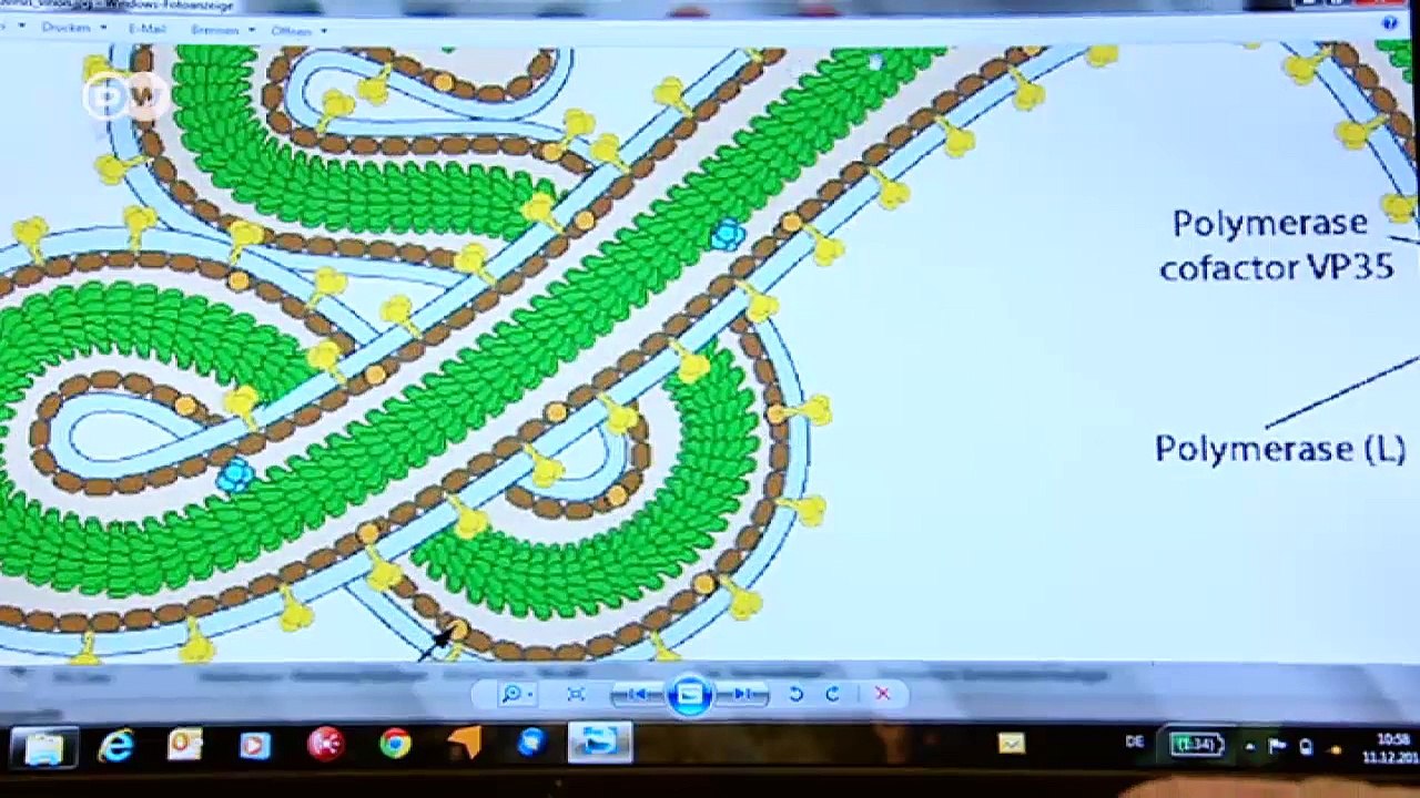 Ebola Schnelltest - Gewissheit in wenigen Minuten | Projekt Zukunft