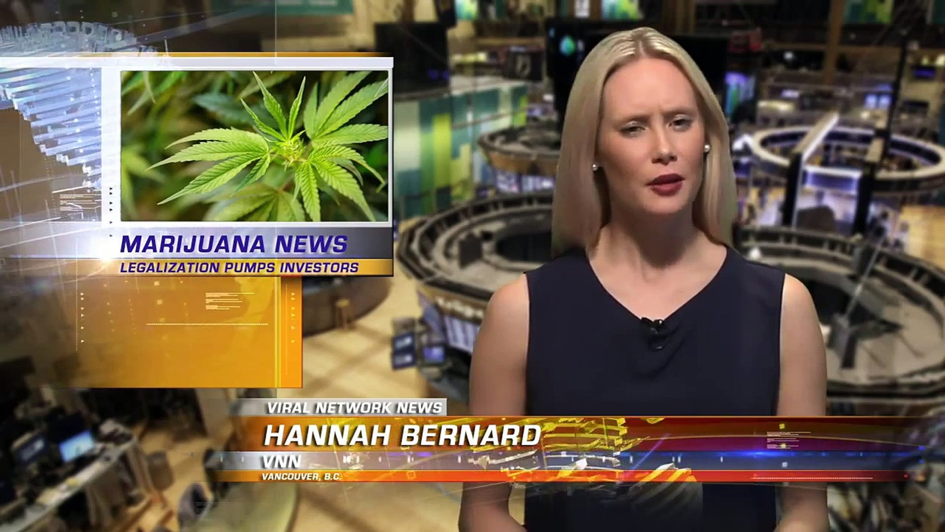 ⁣Marijuana Seed Company Starts From Grass Roots - Marijuana News (1)
