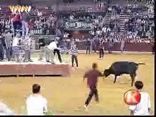 Funny Bull Try To Kill The Man