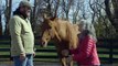 Horses Help Heal Veterans' Invisible Wounds