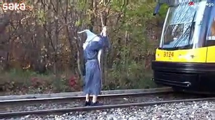 Tren Raylarında Balicilik Yapan Gandalf