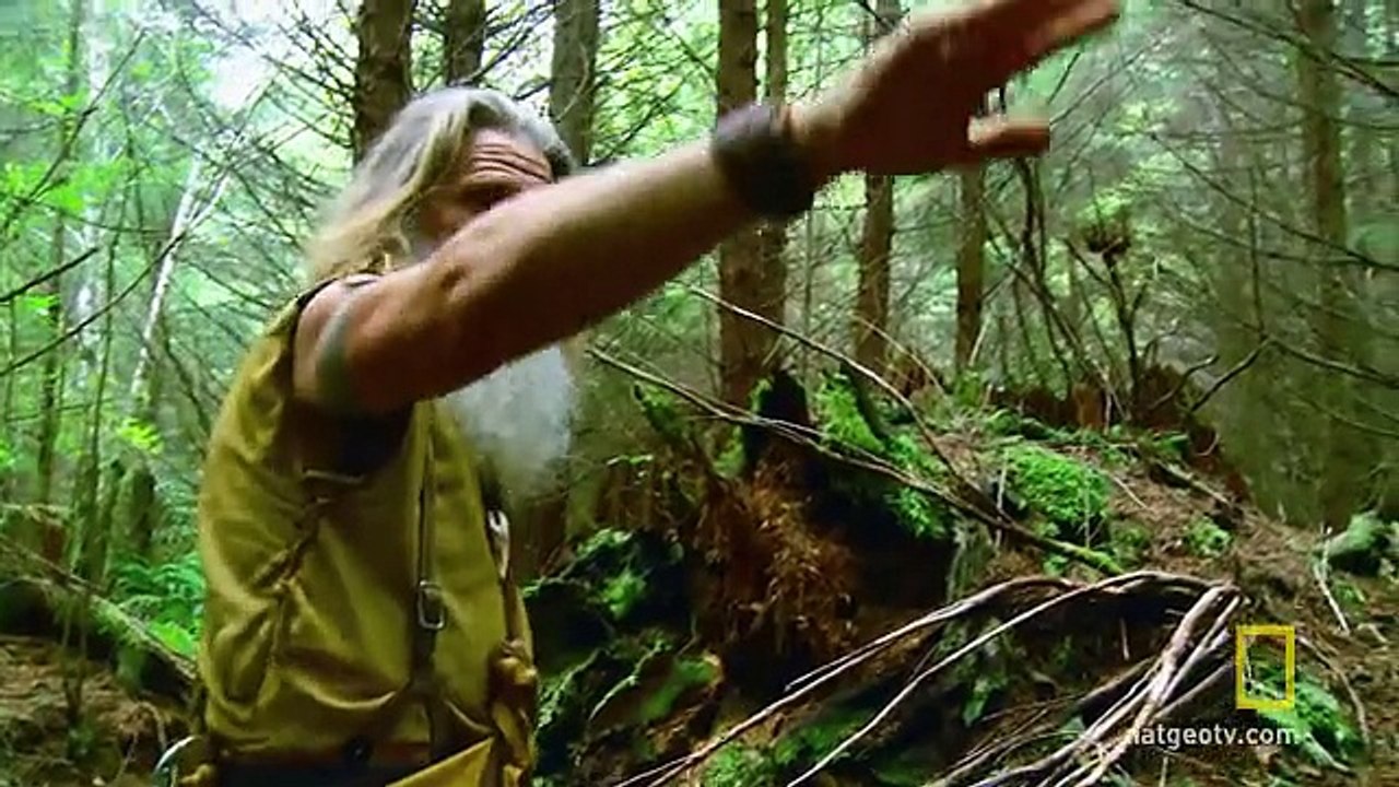 Hunting Shrooms