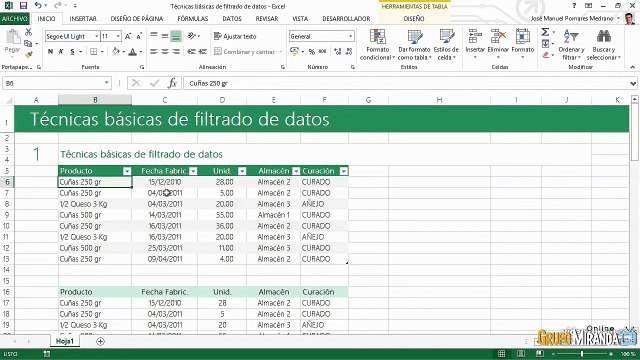 08.06 Técnicas básicas de filtrado de datos en Excel