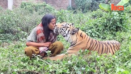 Man And Tiger Best Friends