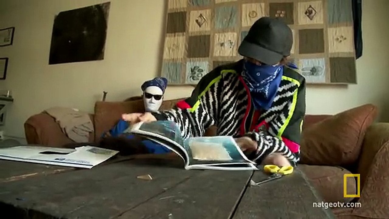 Legal Molly