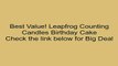 Leapfrog Counting Candles Birthday Cake Review