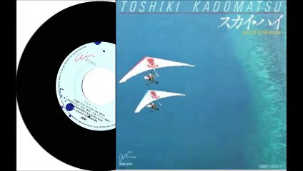 角松敏生　TAKE YOU TO THE SKY HIGH  (7inch analog single version)