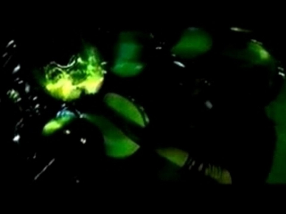 Children Of Bodom - Downfall