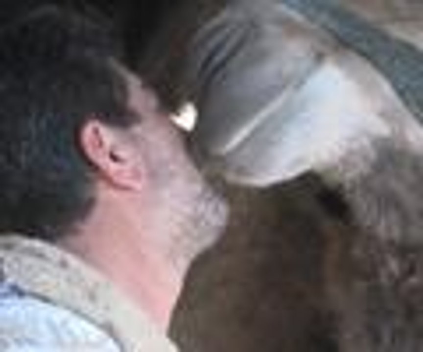 Lüks konut fiyatına deve