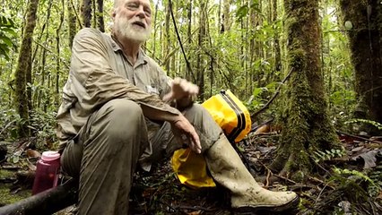 Mysterious Islands in the Sky Unlock Secrets of Our Past 'Return to the Tepuis”