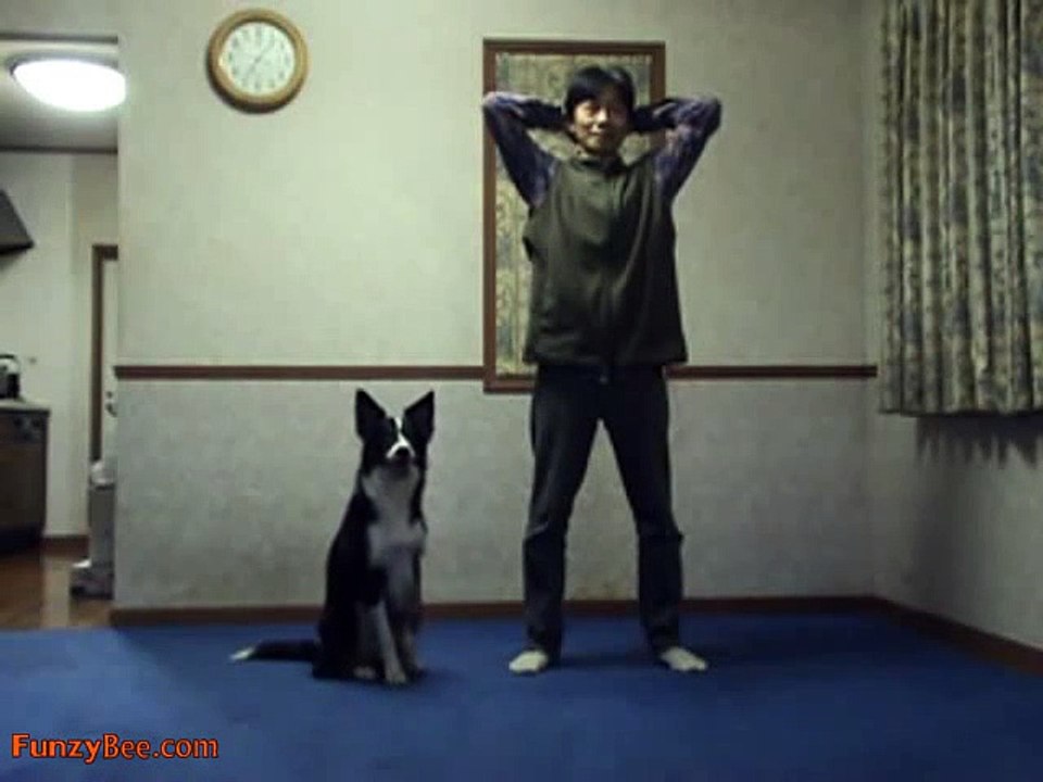 Funny Dog Doing Exercise