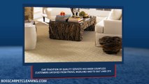 Boss Systems is one of the most trusted carpet cleaning