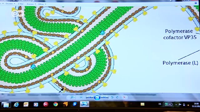 Pruebas rápidas de ébola: certeza en 15 minutos | Visión futuro